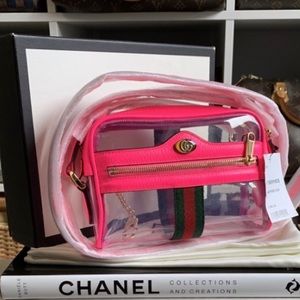 Gucci Mini Ophidia Transparent Crossbody